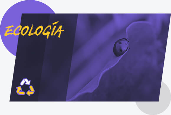 Ecología