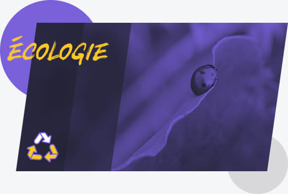 Écologie